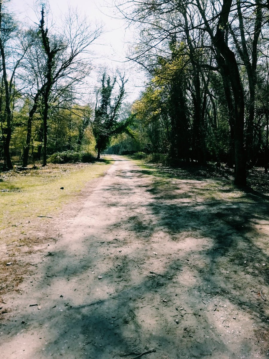 Le domenica a casa sono quelle che preferisco. Tornare nei luoghi dove sono cresciuta, dove ho imparato ad andare in bici e passato infinite pomeriggi... E voi oggi dove siete andati? #Pisa #SanRossore #tuscany #Nature