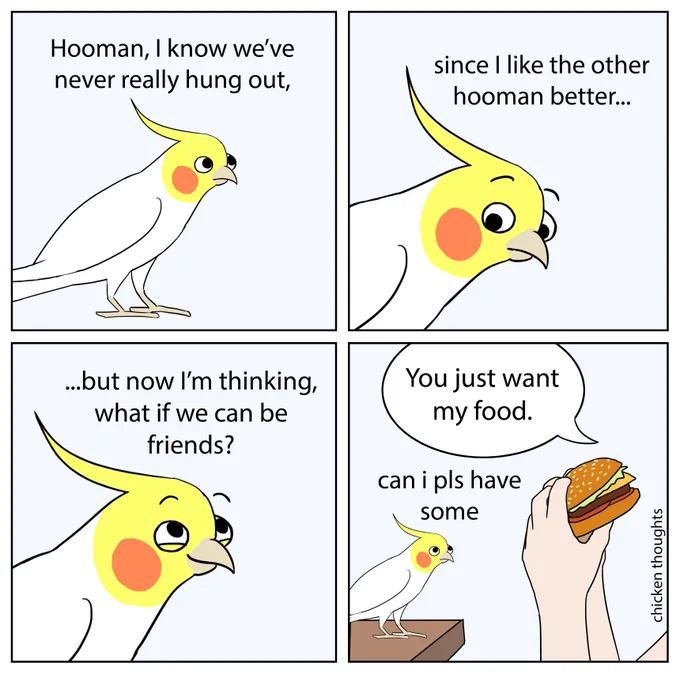 #birb 