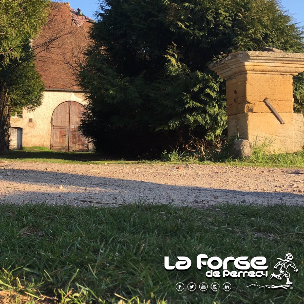 LaForgePerrecy's tweet photo. Première tonte de l’année! Mais pas la dernière 😅 👨🏻‍🌾👩🏻‍🌾🐶

#laforgeperrecy #perrecylesforges #bourgogne #burgundy https://t.co/cYHcx6sQcy
