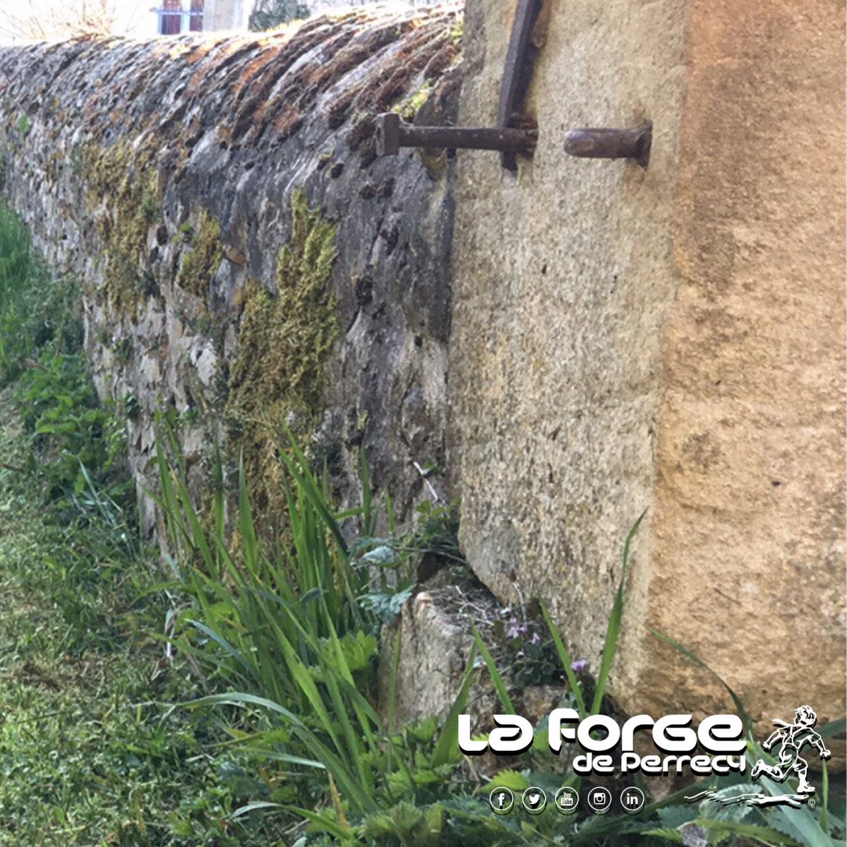 LaForgePerrecy's tweet photo. Première tonte de l’année! Mais pas la dernière 😅 👨🏻‍🌾👩🏻‍🌾🐶

#laforgeperrecy #perrecylesforges #bourgogne #burgundy https://t.co/cYHcx6sQcy