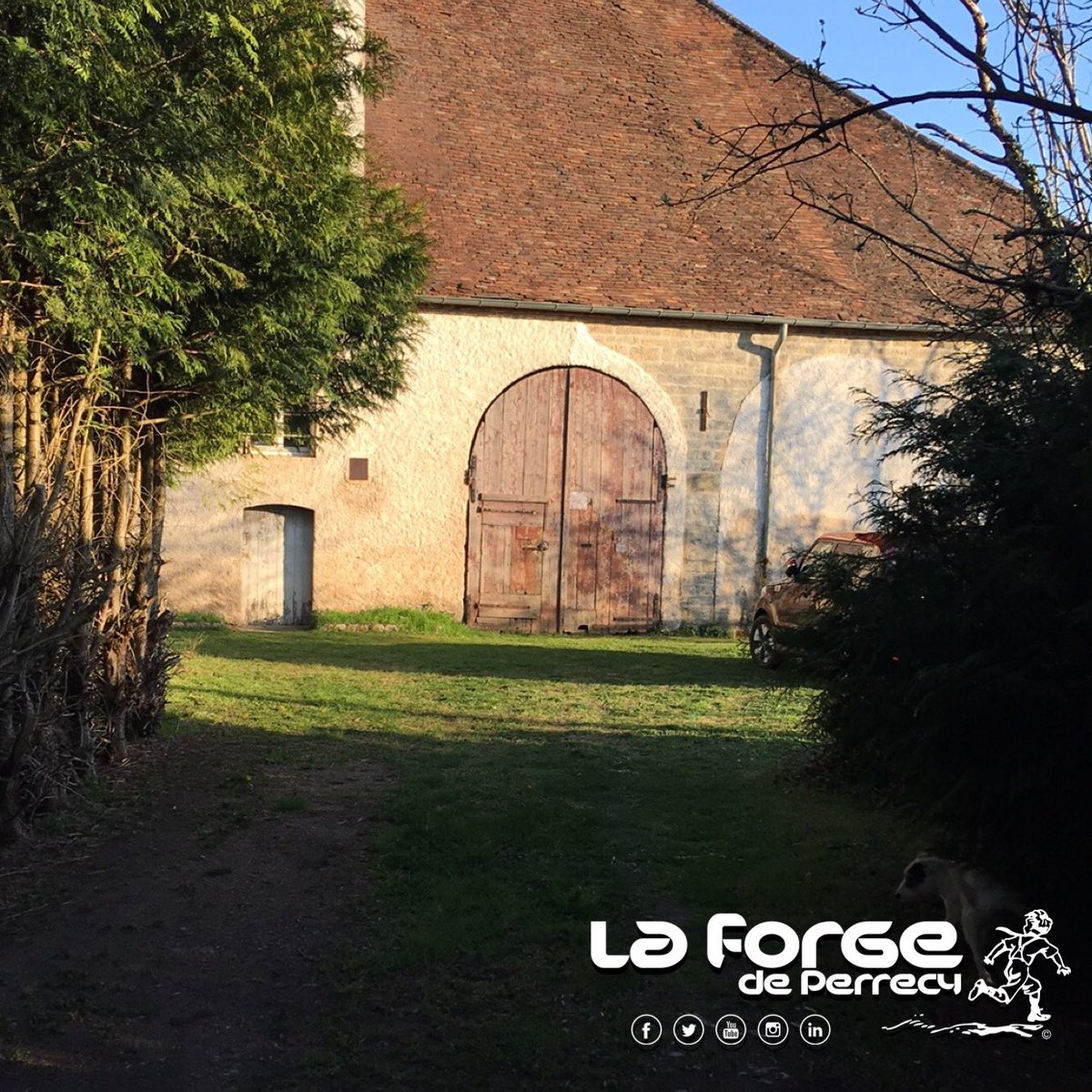 LaForgePerrecy's tweet photo. Première tonte de l’année! Mais pas la dernière 😅 👨🏻‍🌾👩🏻‍🌾🐶

#laforgeperrecy #perrecylesforges #bourgogne #burgundy https://t.co/cYHcx6sQcy