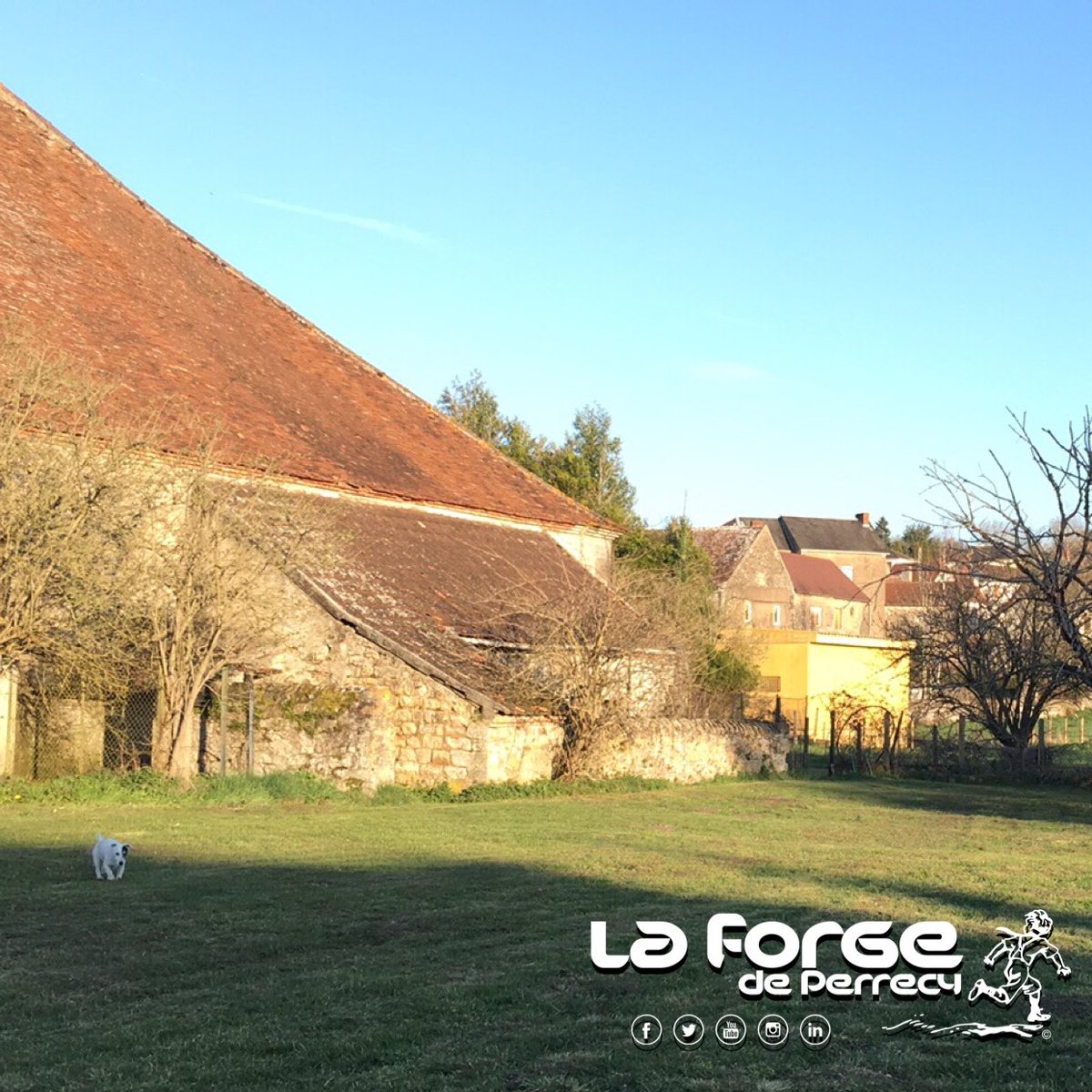 LaForgePerrecy's tweet photo. Première tonte de l’année! Mais pas la dernière 😅 👨🏻‍🌾👩🏻‍🌾🐶

#laforgeperrecy #perrecylesforges #bourgogne #burgundy https://t.co/cYHcx6sQcy