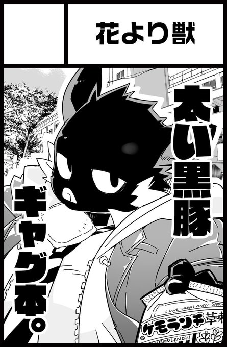 けもケット公式