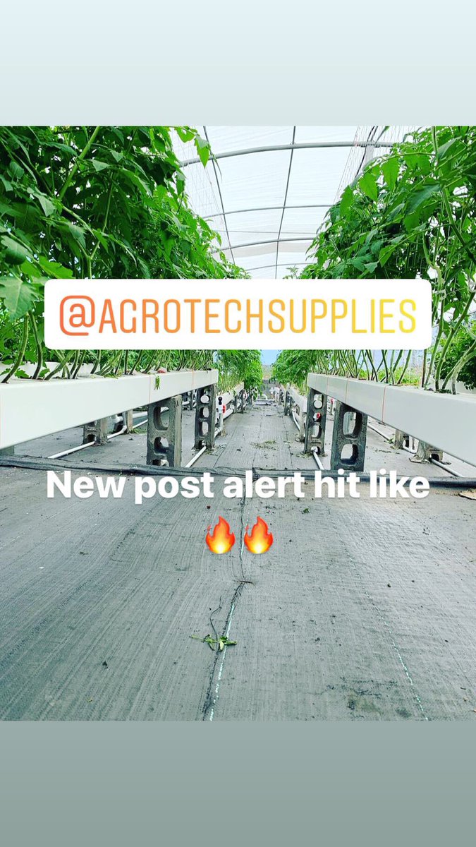 Trish_RL's tweet photo. 🙏
#hydroponics https://t.co/qIxLBmPuEO