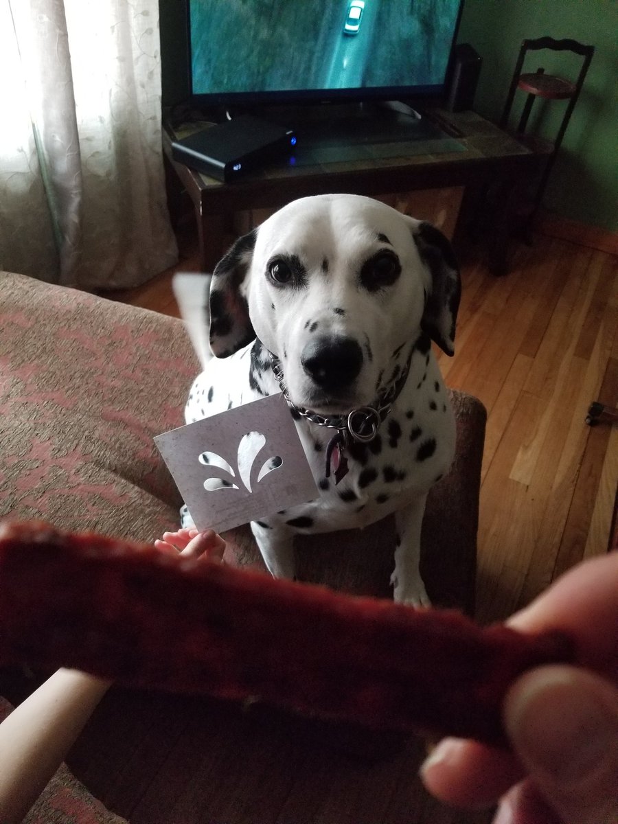 ORMGuru's tweet photo. @Sprinklr, after a week of work, everyone deserves a treat! #SprinklrPets here you go Remy! https://t.co/xbcyQ5AuCD