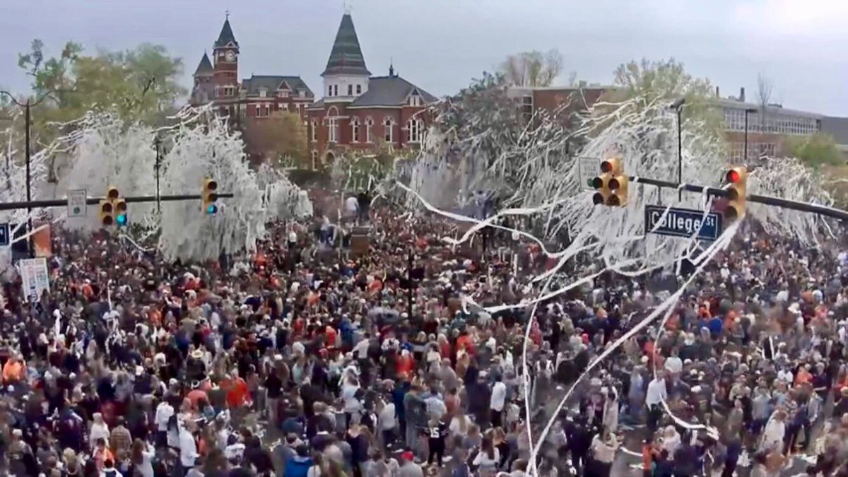 AUGoldMine's tweet photo. Auburn celebrates its trip to the Final Four at — where else? — Toomer’s Corner. https://t.co/SSgaH15ADH