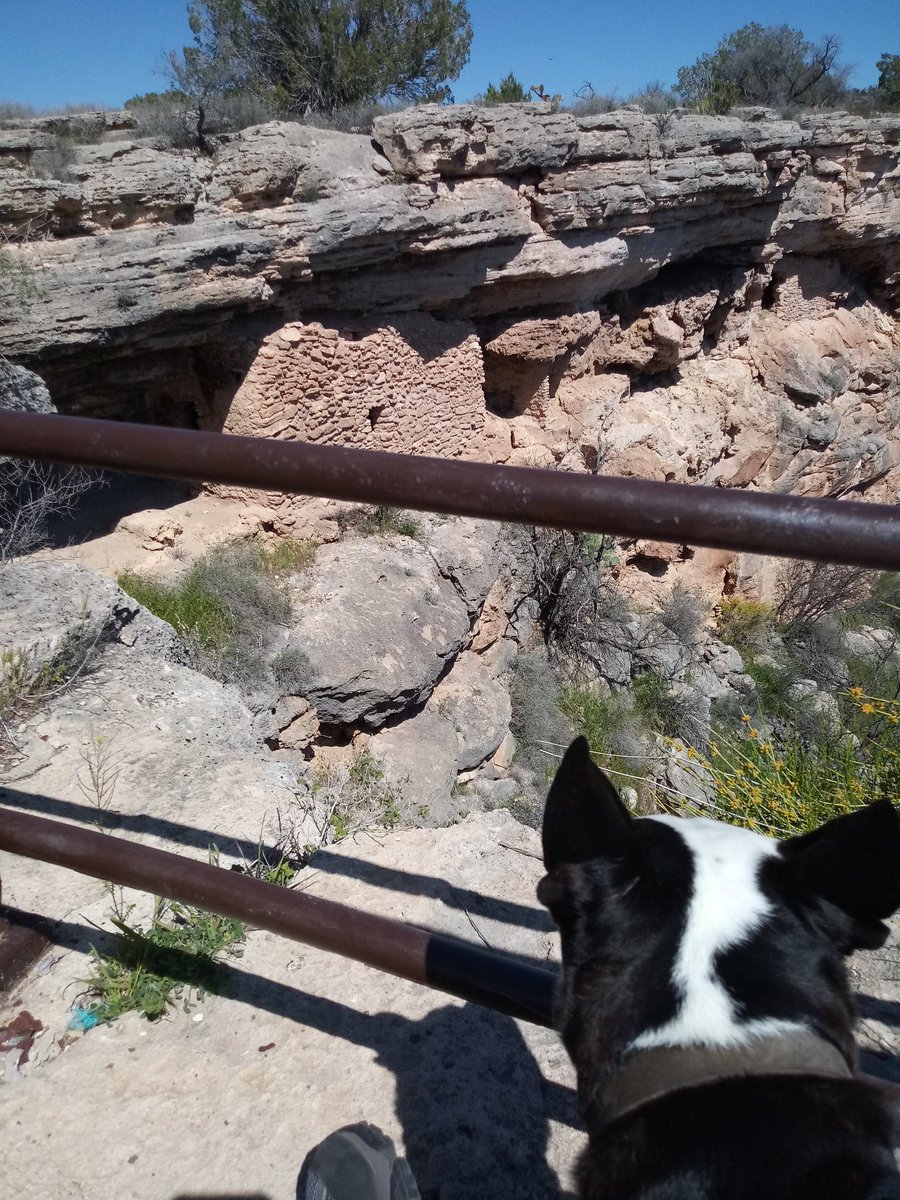Bruno_Nichols's tweet photo. Doing the hiking thing around Sedona today. #TuzigootNM #MontezumasCastle #TravelingPuppy https://t.co/GMa2AcaYeR