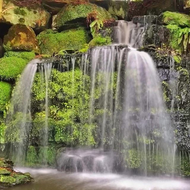 gary8345's tweet photo. Waterfalls
.
.
.
.
#mobilephotography #igerskent #bbctravel #igersuk #neverstopexploring #potd #photoaday #iphoneography #fstopers #iphone7plus #iphone_only #hevercastle #waterfalls #waterfall #tavelphotography #welltravelled #instauk #landscapelovers … https://t.co/moBIopDfNi https://t.co/IixgWz3ruN
