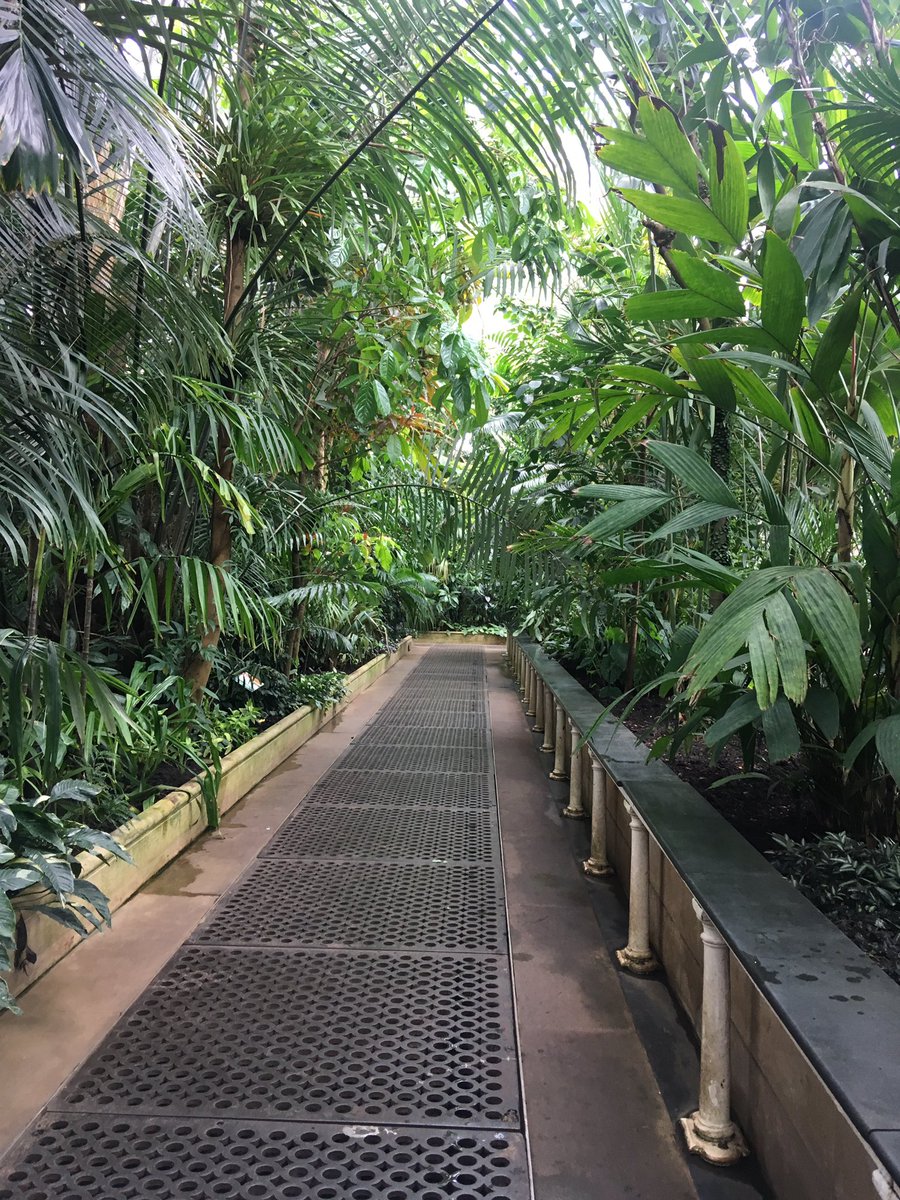 ecokate92's tweet photo. A fantastic day at Kew Gardens, and the wee there beasties too. Though I found my partner being stalked/ chased by geese in this photo incredibly entertaining! #nature #stunning #rareplants #bees @kewgardens https://t.co/W4apOaBfkd