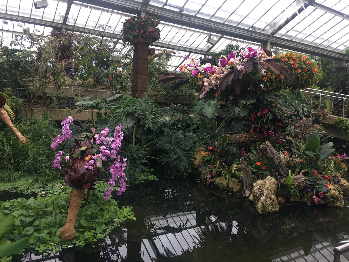 ecokate92's tweet photo. A fantastic day at Kew Gardens, and the wee there beasties too. Though I found my partner being stalked/ chased by geese in this photo incredibly entertaining! #nature #stunning #rareplants #bees @kewgardens https://t.co/W4apOaBfkd