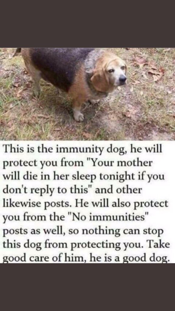 cloutneeder's tweet image. 