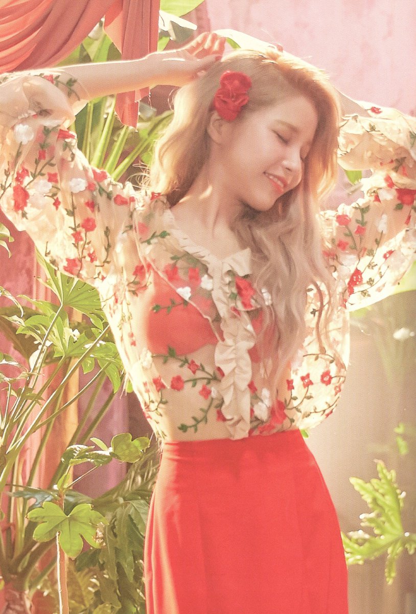 solar pics tweet media