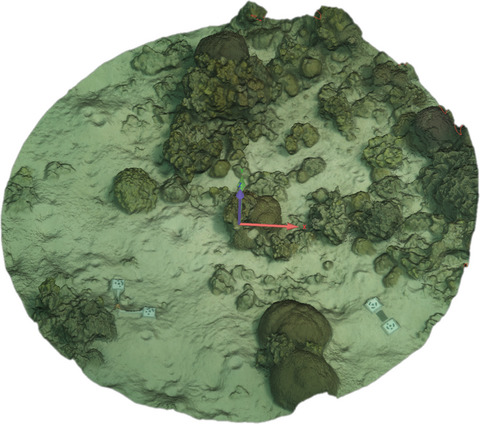 willfig's tweet photo. Two of my favourite things...damselfish and 3D models!  Mia Kent shows how humbugs use info on social and 3D habitat to balance risk at One Tree Island. https://t.co/kxLiLkNYSf
#3Dreefs @USydMSI @SydneySOLES @A_G_Porter https://t.co/gPMNTlT9DT