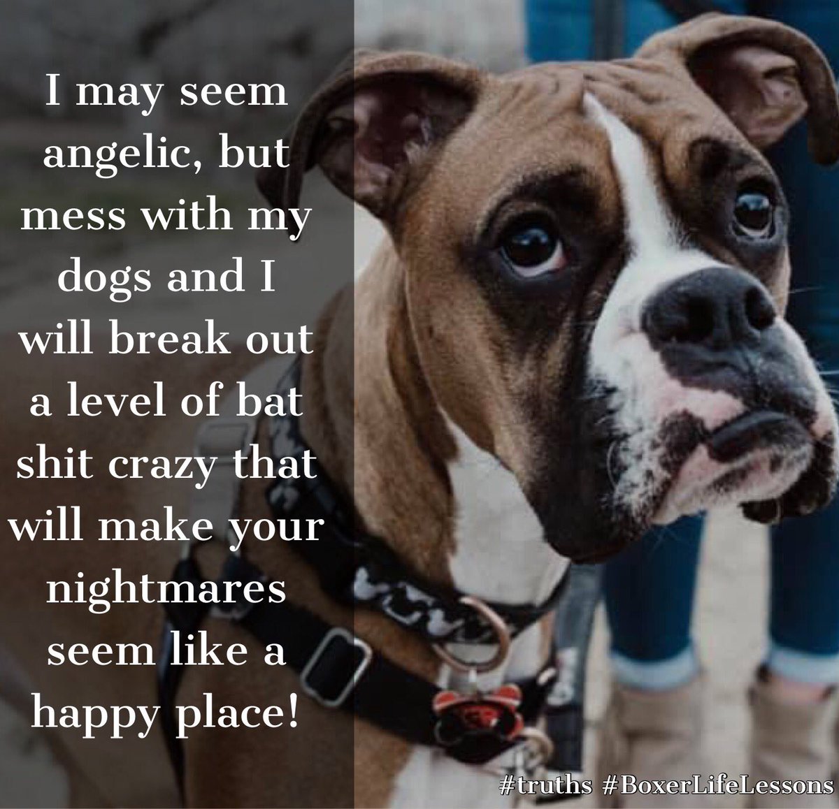 life_boxer's tweet photo. #Truths #WordsOfWisdom #LovedByABoxer @boxerbond @Boxers_Buddies @OwnedByaBoxer @BoxerWorld @flaboxerrescue @HavenBoxer #BoxerHavenRescue #PuppyLove @savetheboxers @mustluvboxers @Adopt_A_Boxer #BoxerMom #LifeLessons  #BatShitCrazy @UKBoxersNews @boxerdogrescue #NeverADullMoment https://t.co/FiwtaO1QJT