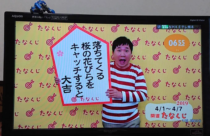 たなくじ 
