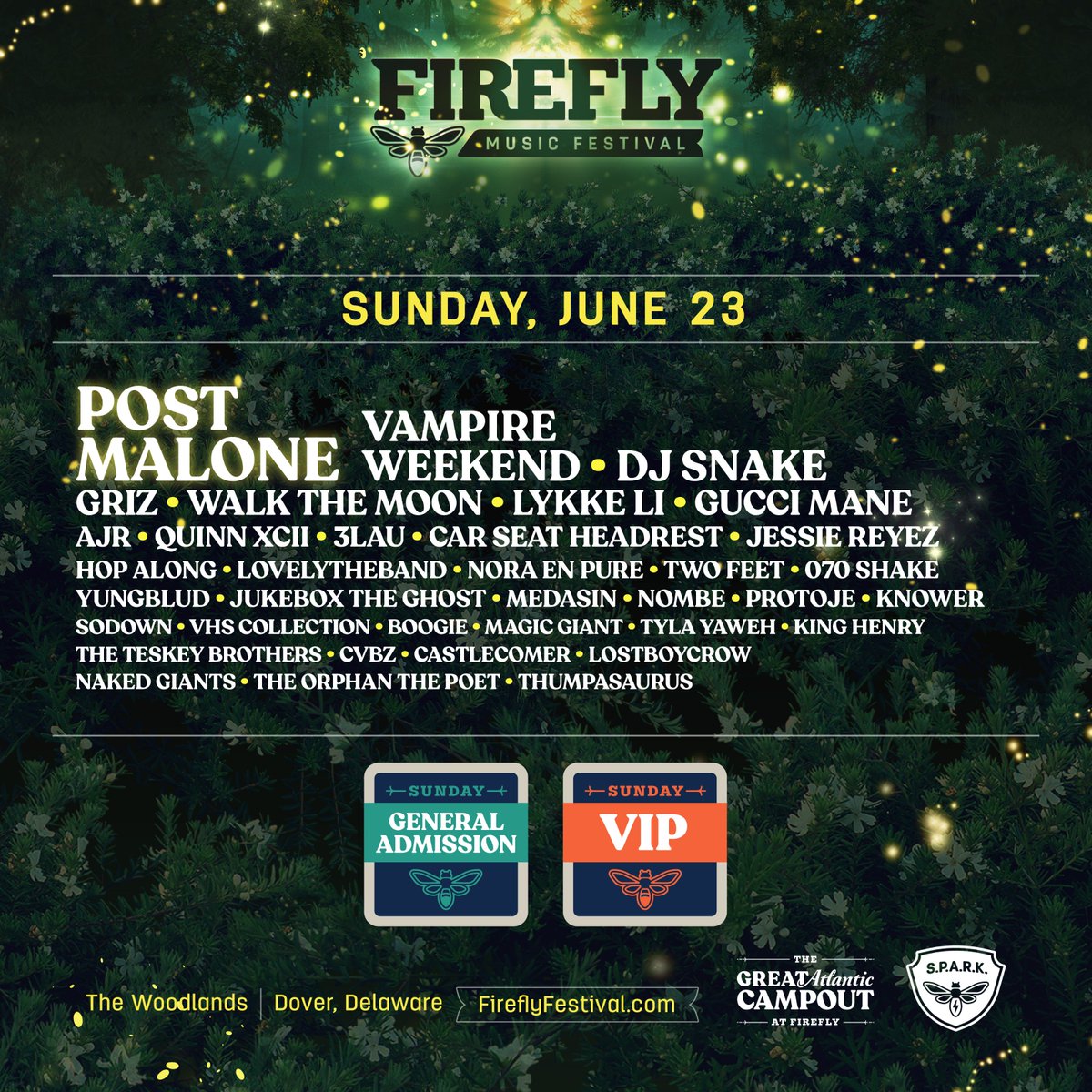 Firefly Festival On Twitter Firefly2019 Single Day Pass