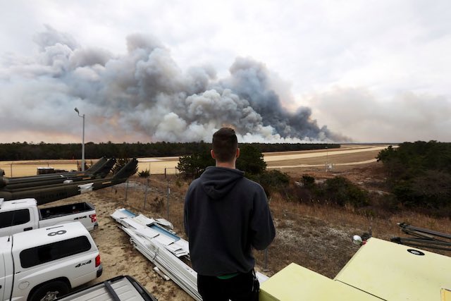 jtdscape's tweet image. forest fire things today