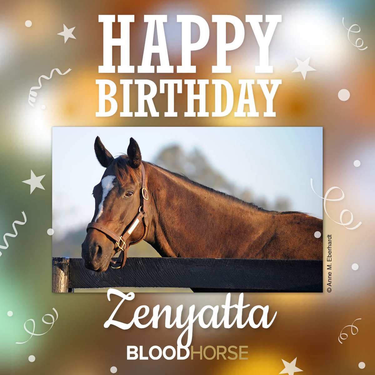 BloodHorse's tweet image. Celebrating the birthday of 2010 Horse of the Year Zenyatta, born April 1, 2004.