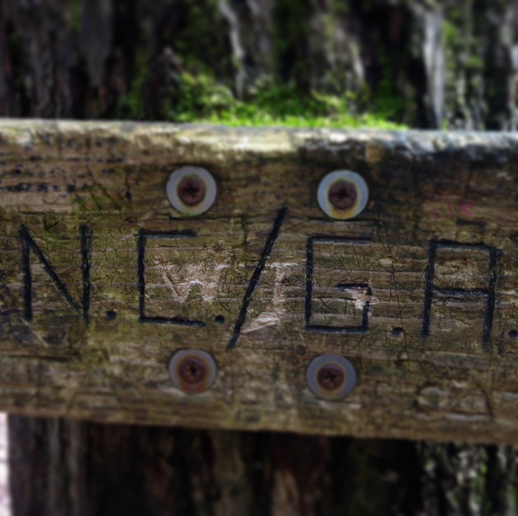 trailname's tweet photo. Goodbye, Georgia!
#Hiking #HikingLife #KeepHiking #GetOutAndHike #FindYourTrail #HikingAdventures #HikeGeorgia #GeorgiaHiking #HikeNorthCarolina #NorthCarolinaHiking #AppalachianTrail https://t.co/hPeaun0k0J