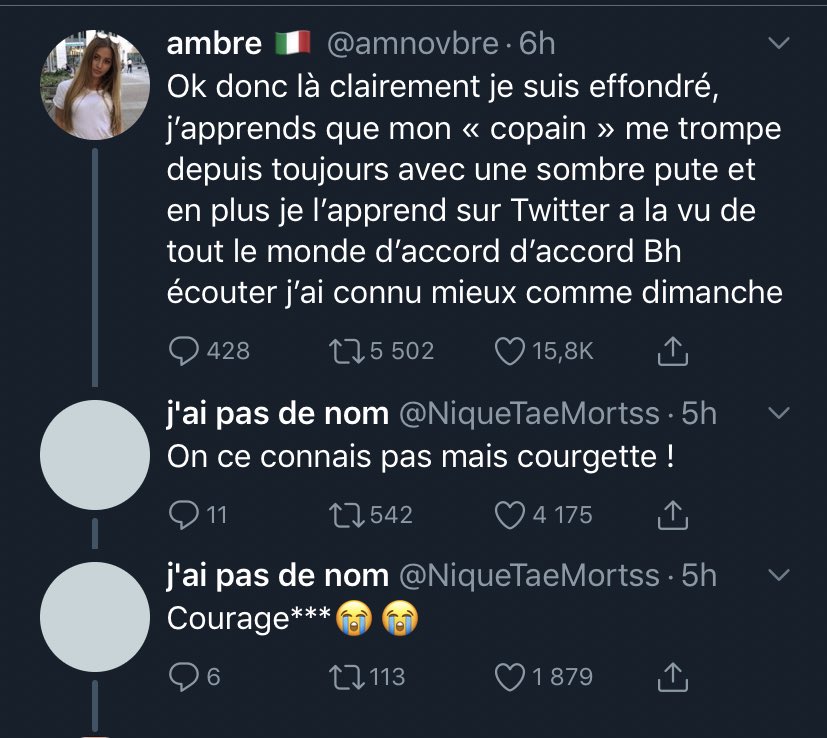 TopDesTwittos's tweet image. Pendant ce temps sur Twitter