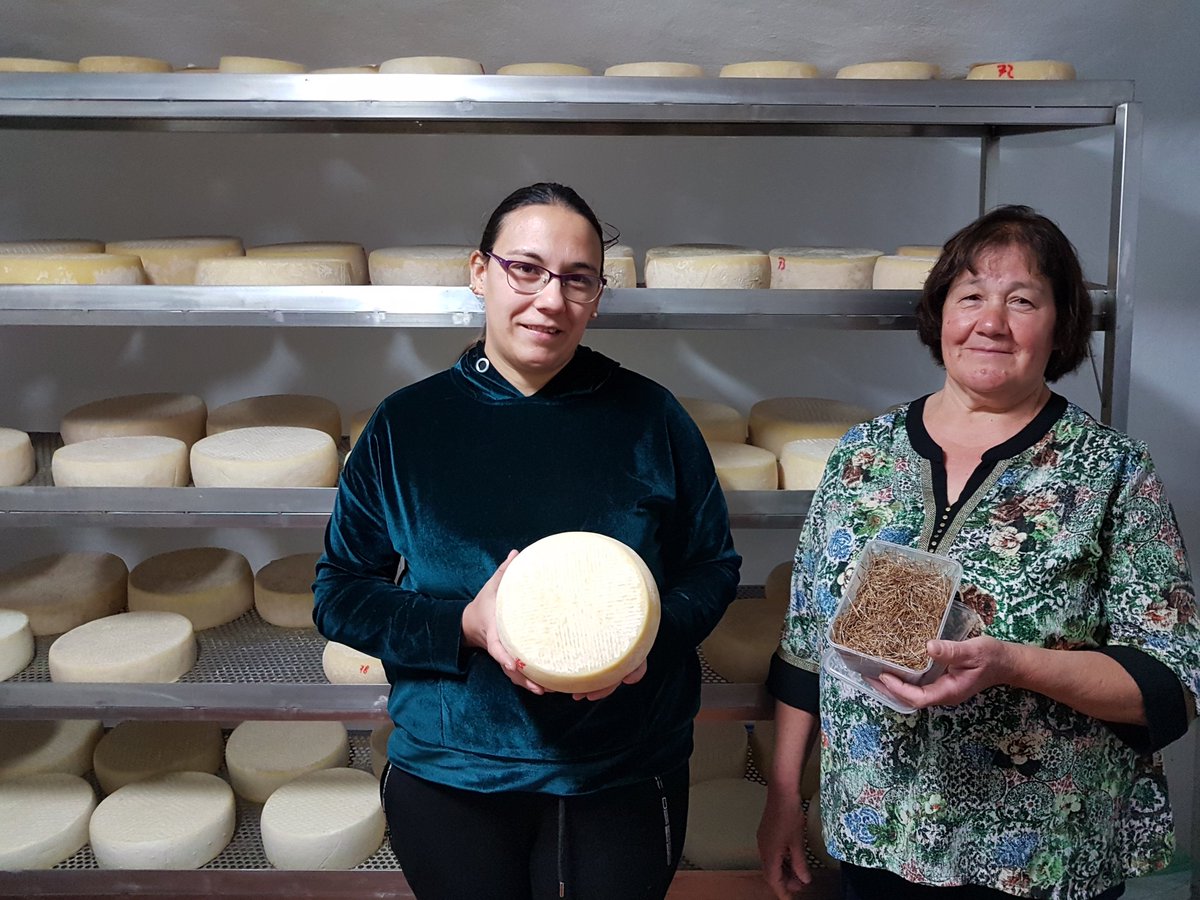 espaciomadrides's tweet photo. Un gran día entre quesos artesanos de #GranCanaria que arrancó en "El Cortijo de Montañón", familia quesera de varias generaciones. El #QuesodeFlor es uno de los productos estrella de la isla.
#ForoInternacionaldelQueso (1 y 2 de abril). #queseriasartesanas https://t.co/6U8E7AOFIx