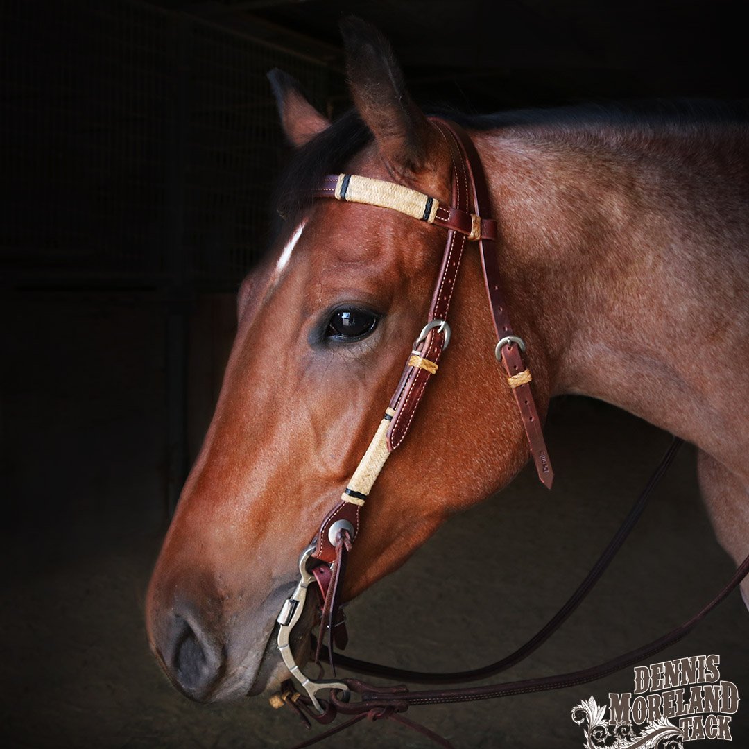 DmtackT's tweet photo. Don't miss your chance to get this beautiful Browband Headstall with Rawhide & Black Ring Knots https://t.co/rThQqgIRdD while it's on sale!
Regularly $344.99, now only $264.99.
Today (3/31/19) is your last day to get this great deal: https://t.co/rThQqgIRdD
#DMTack https://t.co/gy0dZhnnMX