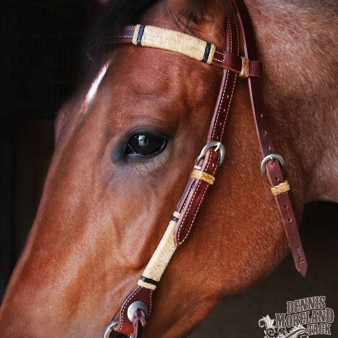 DmtackT's tweet photo. Don't miss your chance to get this beautiful Browband Headstall with Rawhide & Black Ring Knots https://t.co/rThQqgIRdD while it's on sale!
Regularly $344.99, now only $264.99.
Today (3/31/19) is your last day to get this great deal: https://t.co/rThQqgIRdD
#DMTack https://t.co/gy0dZhnnMX