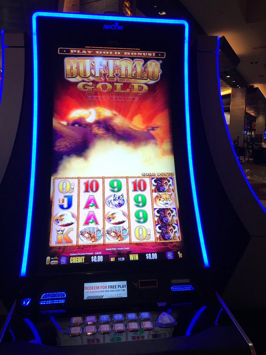 Vegasferretboy's tweet image. Golden Buffaloes are better than golden ..... #BuffaloGold #buffalo #howmanybuffalo #aristocrat #gaming