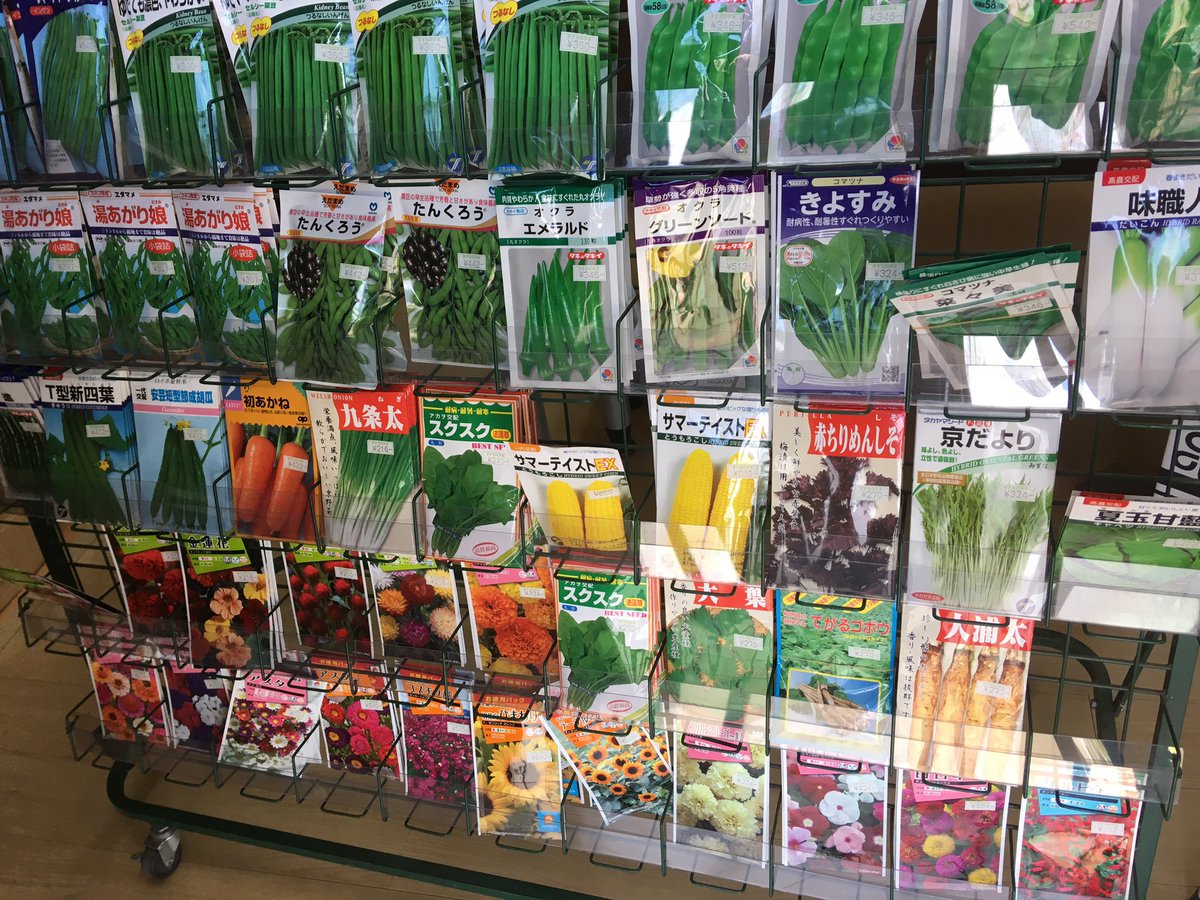 野菜タネ