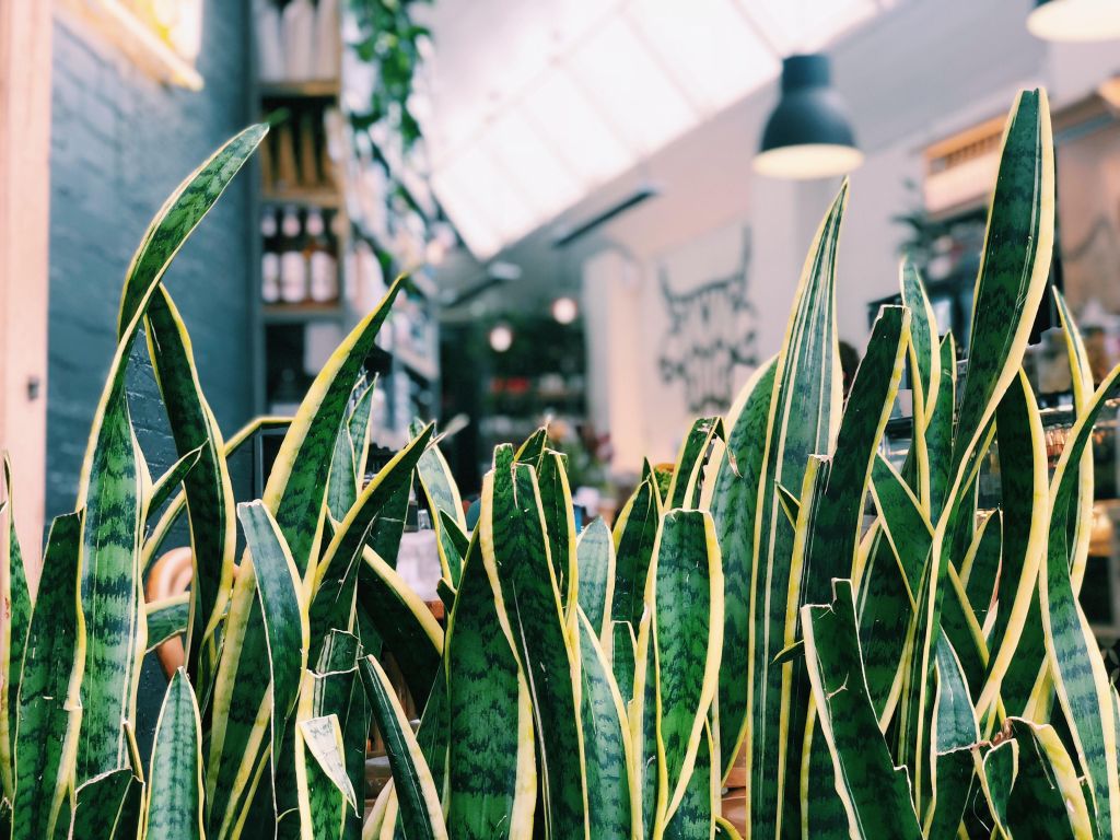 Restaurant Owners, I encourage you to prioritise your time to focus on these five areas and you will see an increase in profit... myrestaurantlife.net/2019/04/01/the…