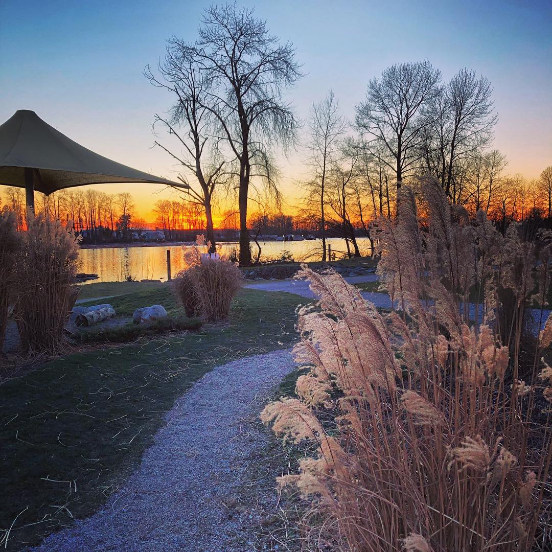 Nothing like an evening stroll #DownByTheRiver
This beautiful shot taken by: @philpostro
.
.
.
#RiverDistrict #Vancity #Sunsets #VancouverisAwesome #VancouverViews #BeautifulBC #Fraserriver #YVR #Vancitybuzz #Repost