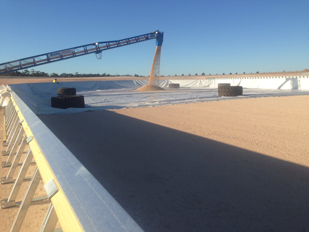 Andrew Polkinghorne tweet media