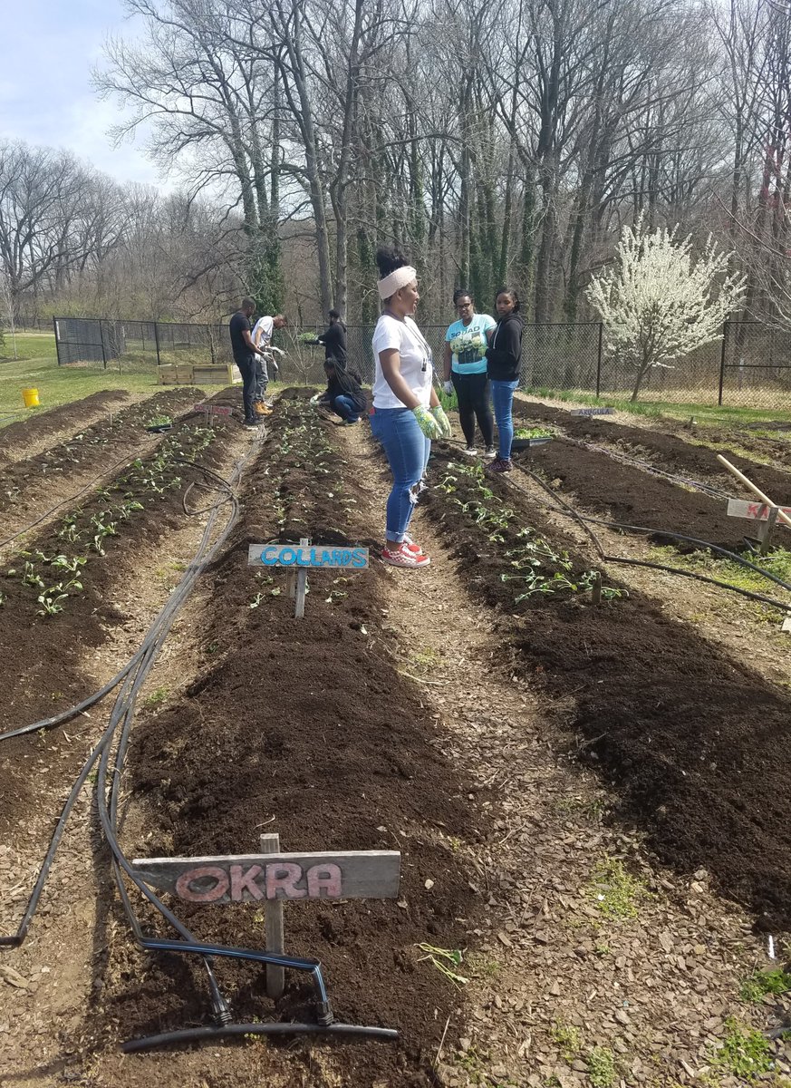Spring has sprung at #NatsAcademy! Thank you to our volunteer groups for cleaning the grounds and planting crops in our teaching garden. 

🥬🥦🥕🥒🥗
