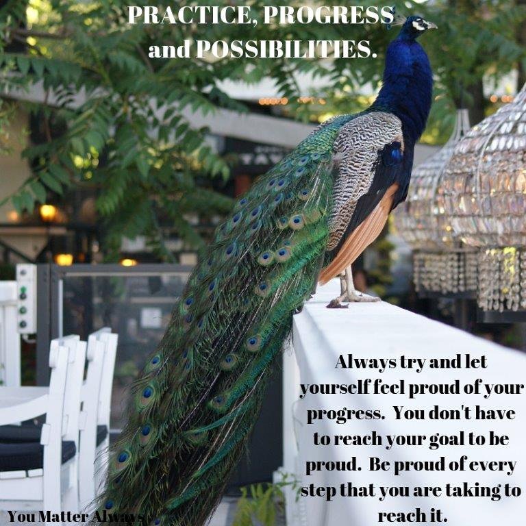 SuzieYMA's tweet photo. PRACTICE, PROGRESS and POSSIBILITIES 💜💙💚💛❤🦋🦋👍 #YouMatterAlways #practicemakespossibilities @PCTScotland @StBenedictsHWB @AuchenlodmentPS @ACommunities #RenAntiStigma @wellbeing_1st @az2bw #haveagoodweekeveryone https://t.co/5x2sR1E4xL