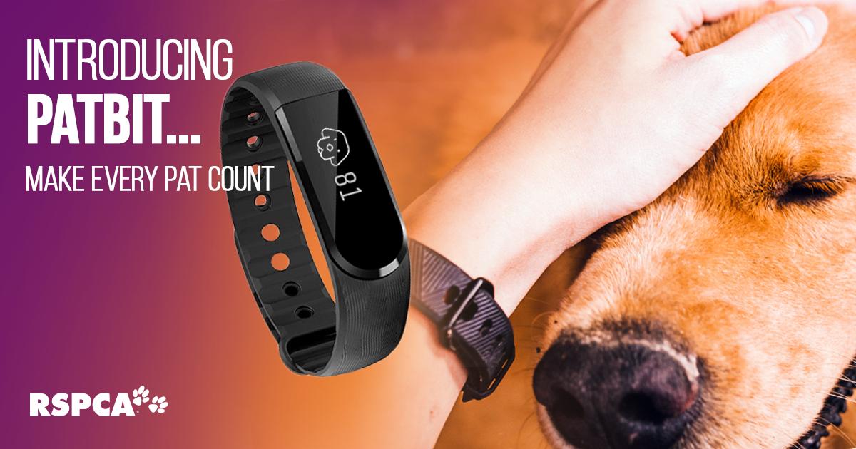 RSPCA's tweet photo. Keep track of how many doggos you meet with @RSPCA's new #PatBit. The new way to count tummy scratches & head pats. For $59.95, it’s a must for all fans of good bois. Purchase 2 & upgrade to our PatBit Dog.O model with treat or poo bag compartment: https://t.co/i26TTp9Ena https://t.co/kGbxvfAjmp