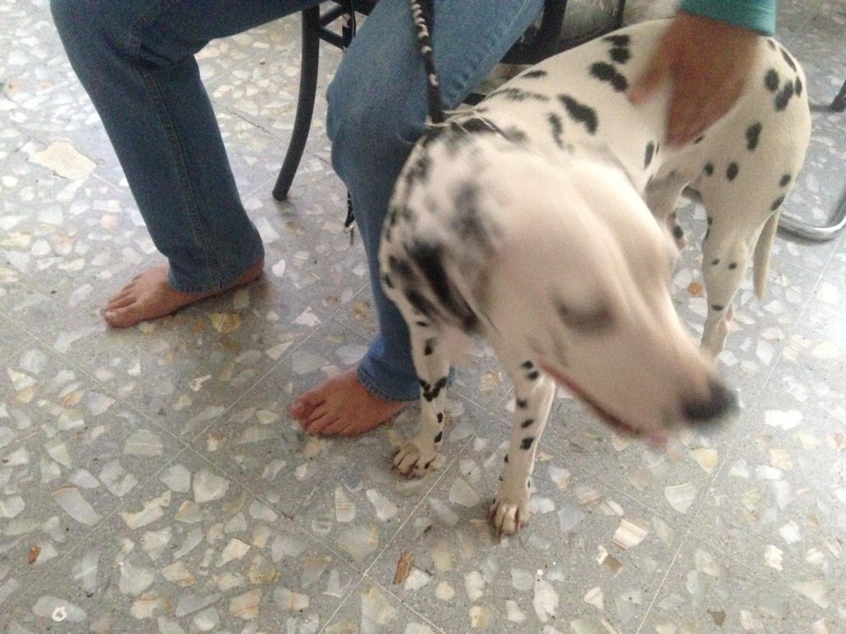 SanMiguelChapultepec tweet media