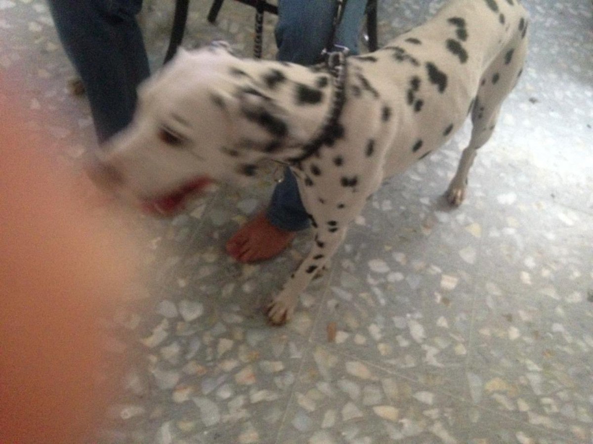 SanMiguelChapultepec tweet media