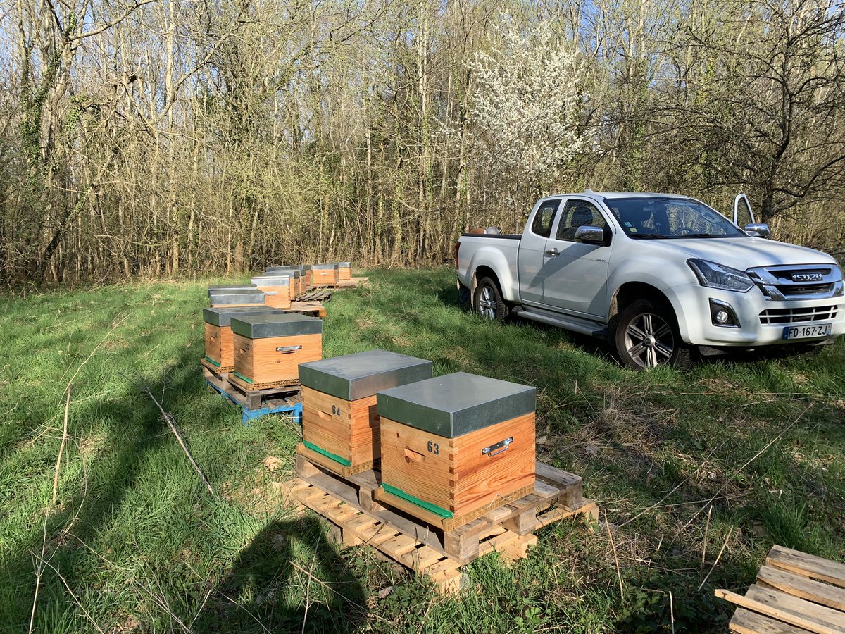 LesRuchersdAlex's tweet image. Deux nouveaux #ruchers installés. Two new #apiaries set up. #abeilles #beekeeping #apiculture #bees #Vexin