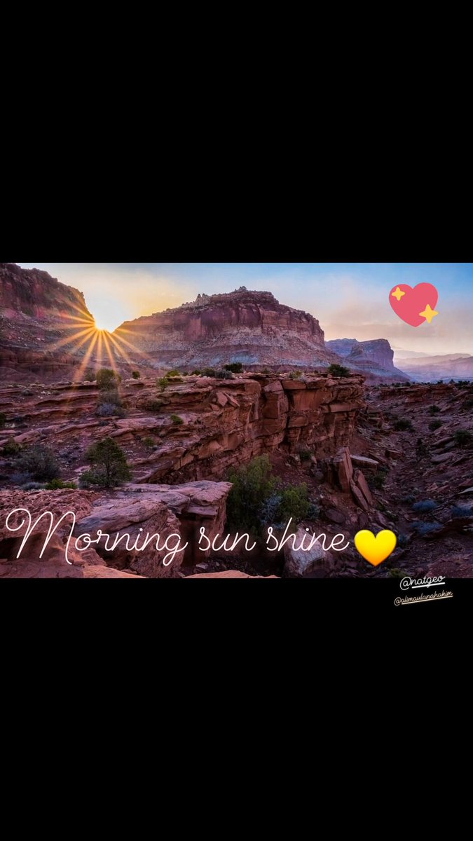 yneeynee's tweet photo. https://t.co/SOHKaq75u5