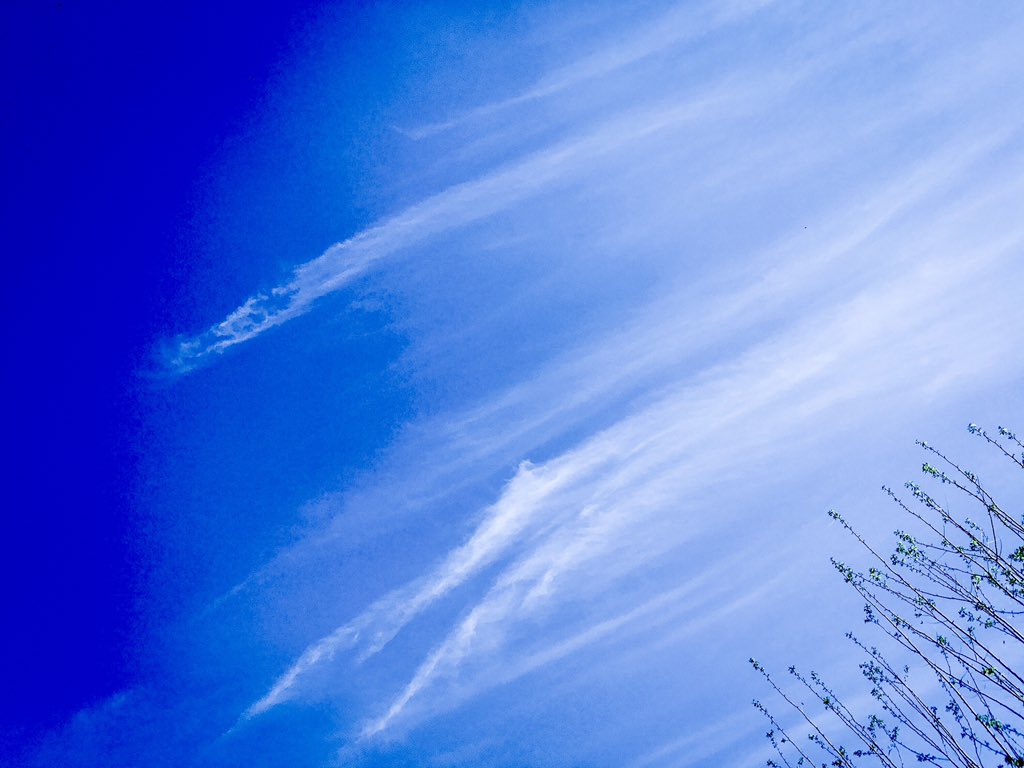 amnazamirtalks's tweet photo. Every moment I shape my destiny with a chisel. I am a carpenter of my own soul.
#skypaint #Gilgitsky #MyGilgit #DawnNews #BeautifulPakistan https://t.co/ZVSHwPxHv6