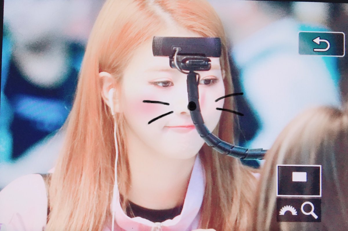 19940923_com's tweet photo. 190401 TPE

#lovelyz #러블리즈 #이미주
@Official_LVLZ @miiiiii_jooooo https://t.co/gT7Uc1SG8R