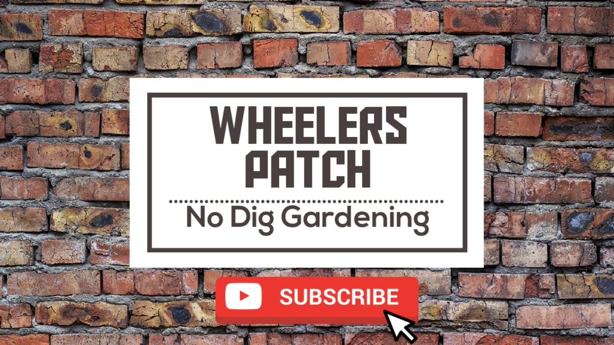 wheelerspatch tweet picture