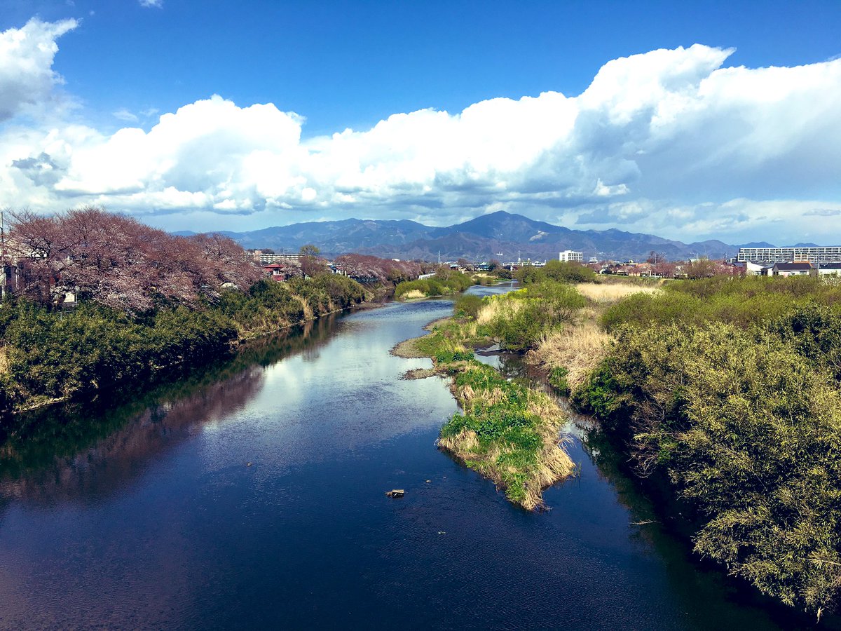 金目川 金目川