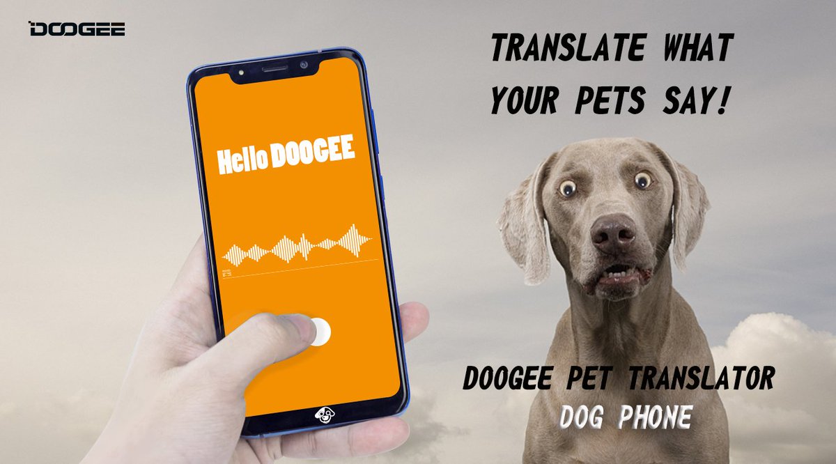 DOOGEE on Twitter: DOOGEE on Twitter: