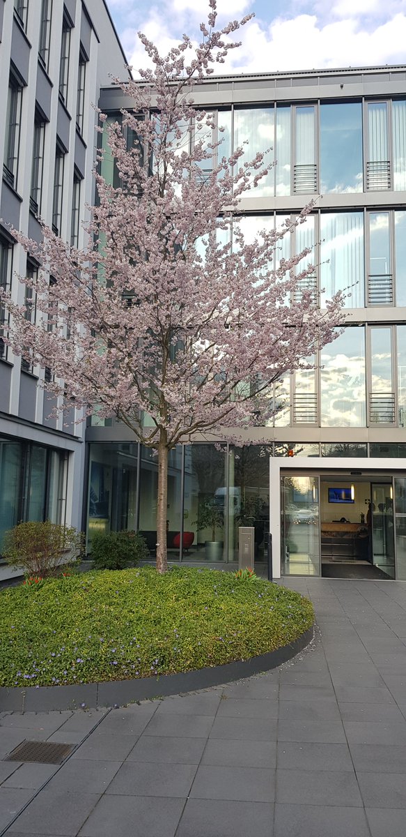 ikareva's tweet image. Back to reality after a great weekend in Frankfurt and after the great #SAPCodeJam and #sitFRA. Thanks to the orga team the speakers, sponsors and AOK for the great location!