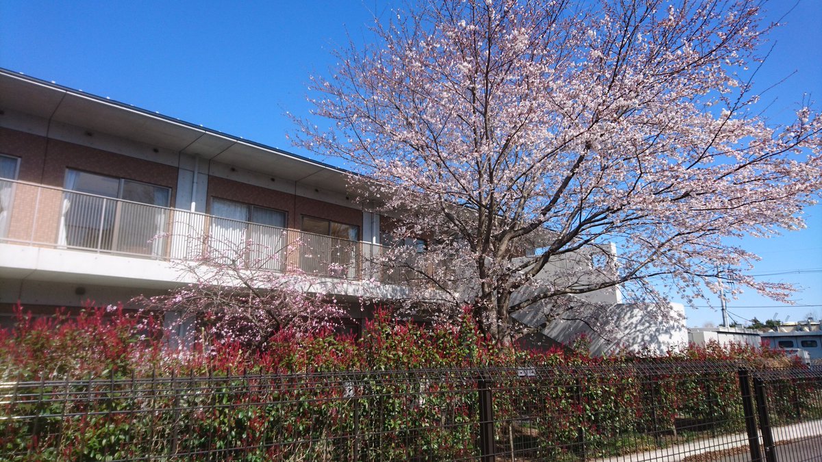 vitarosaria's tweet photo. 今日から新年度、進入職員の入社式も終えて一安心！さて、新ｹ元号は何になるんでしょうか…母音で始まるような気がします… https://t.co/mMdfcUavqF