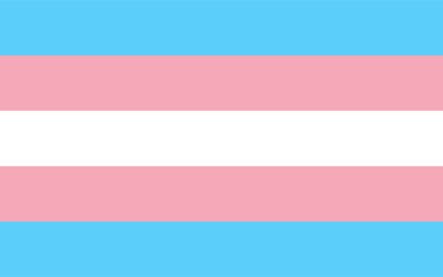 Happy Transgender Day Of Visibility! MOHSD supports and fights for all those in the transgender and LGBTQ+ communities today and everyday. Trans rights are human rights. #TransDayOfVisibility