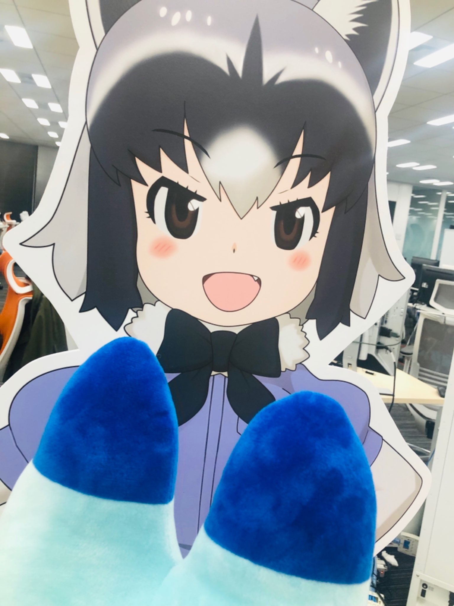 けものフレンズアライグマ等身大パネル コミック・アニメ