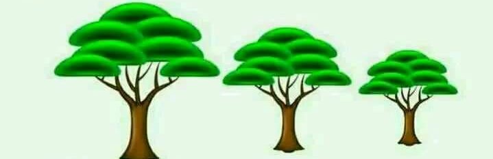 prabhatmisra's tweet photo. Do #plantation on April 01 &amp; make the day #cool not #fool. Be A #VoiceForNature &amp; Get Ready For A #BetterFuture. #ActOnClimate &amp; #ChangeClimateChange. #AprilCool not #AprilFool.
(@RedTapeMovement @ErikSolheim @billmckibben @GretaThunberg @GreenOathMonday) https://t.co/kdXF4TFORD