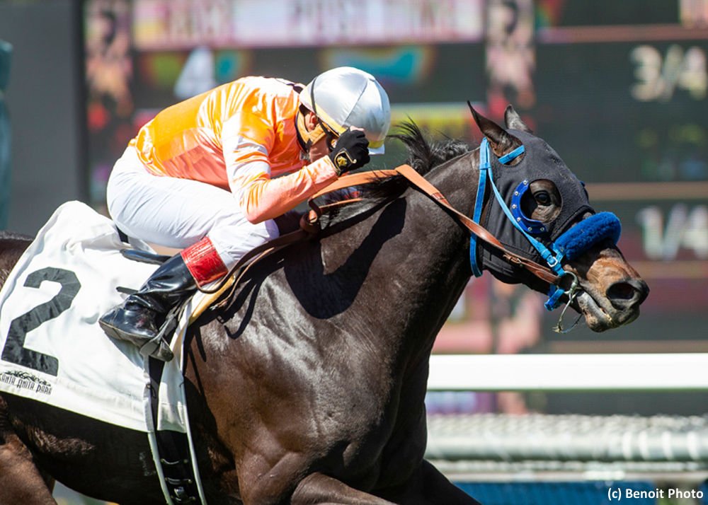 Brisnet's tweet photo. #LawAbidinCitizen wins #SanSimeon (G3), #ArmsRunner fatally injured @santaanitapark 🏇
https://t.co/9SyideKiW0
📸 (c) @benoitphoto_ https://t.co/Ab10D78auy